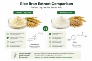 rice-bran-extract-comparison-infographic