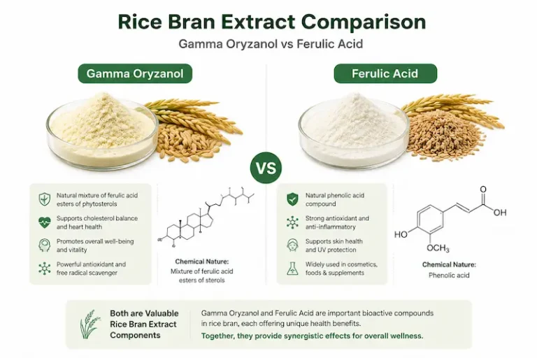 rice-bran-extract-comparison-infographic