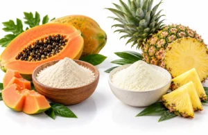 bulk-papain-and-bromelain-suppliers