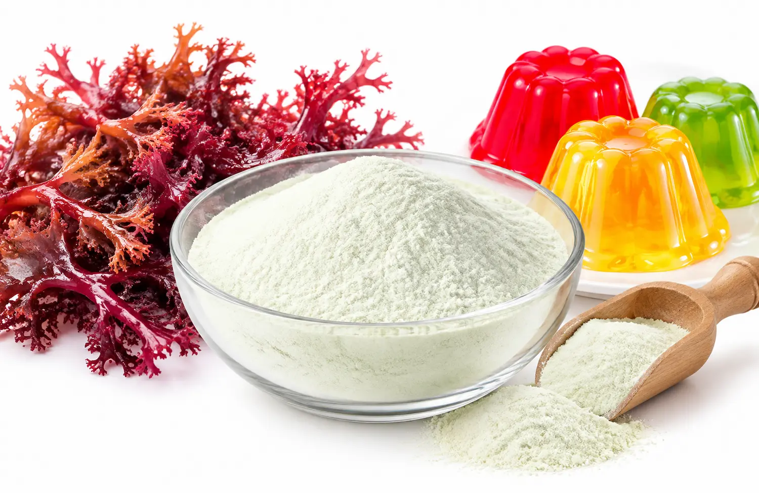 carrageenan-for-jelly-powder
