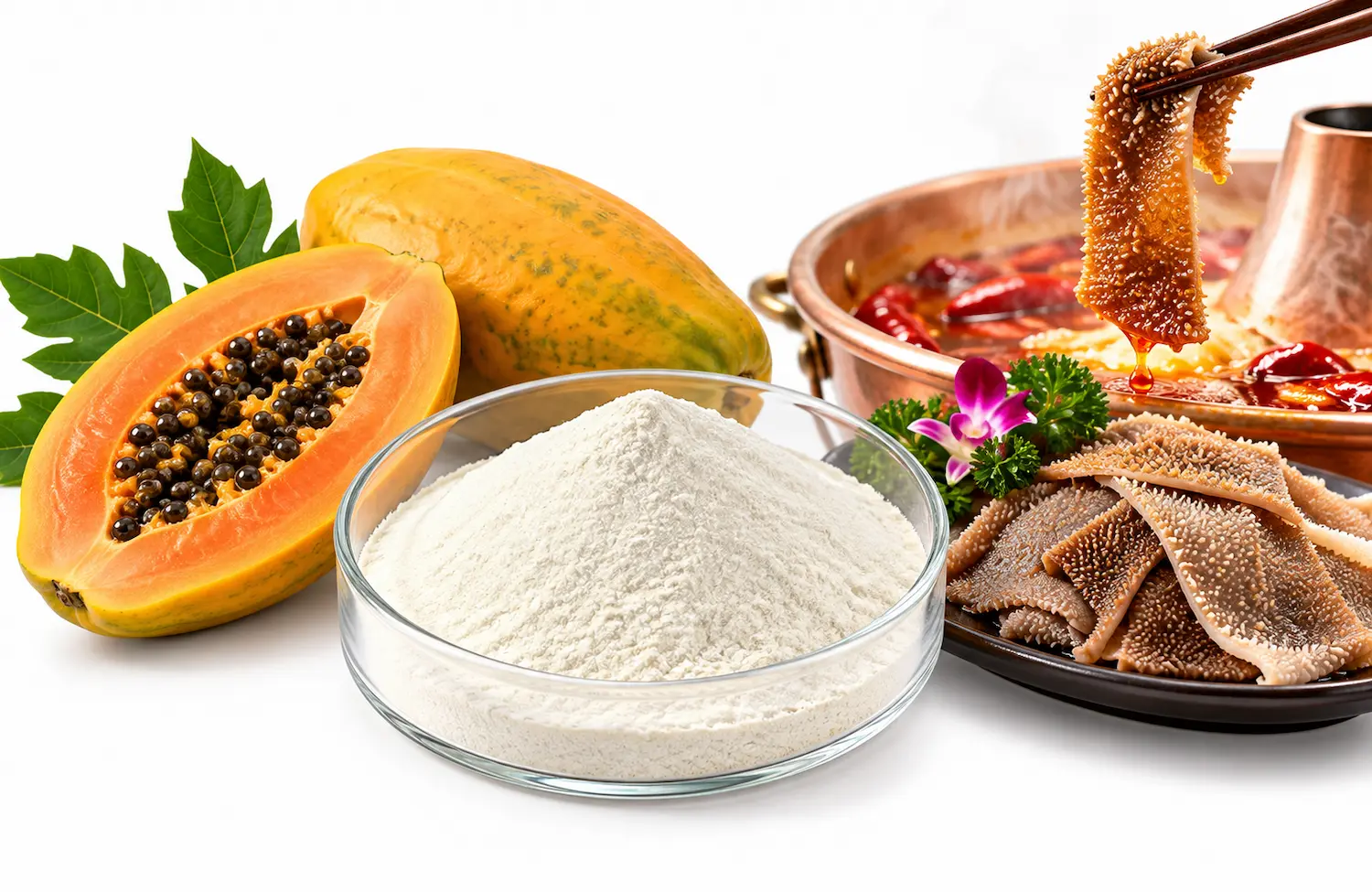 papain-enzyme-tenderizer-for-beef-tripe