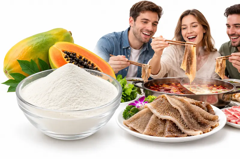 Food-grade papain enzyme tenderizer applied to beef tripe, duck intestine, and beef for hotpot processing